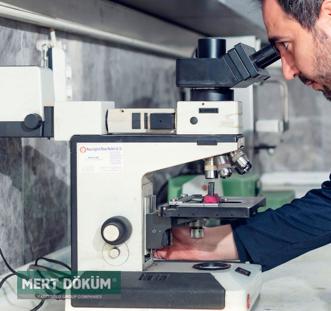 Mikroskop Mert araştırma ve geliştirme